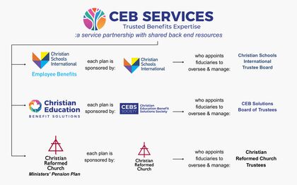 Organizational Structure Infographic 2
